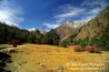 Tengboche